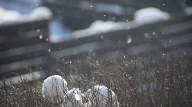 Kışın yavaş çekimde kar taneleri düşüyor. Bokeh ile kar taneleri güneş ışığına karşı çırpınıyor.