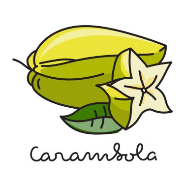 Beyaz arka planda Carambola meyvesi. Vektör illüstrasyonu 