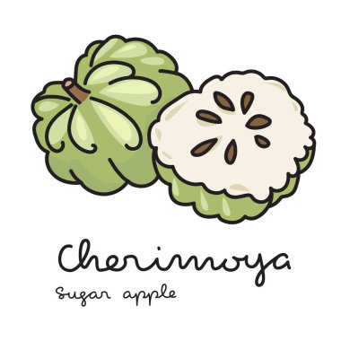 Beyaz arka planda Cherimoya ya da elma şekeri. Vektör illüstrasyonu 