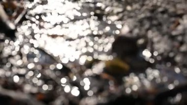 Bokeh güneşi su yüzeyine yansıyor. Güneş ışınları su akıntısında titreşiyor.