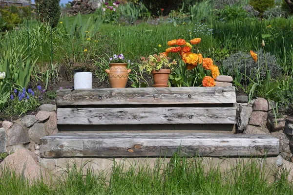 Wooden bench with flowers arrangement garden plants