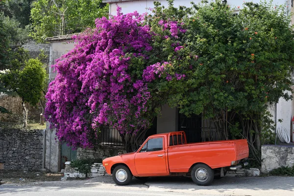 Voiture Rouge Fleurs Fleurs Bougainvillea Dans Rue Île Corfou Grèce — Photo