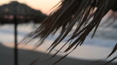 Kurumuş kahverengi Palm Leaves on Beach Şemsiyesi. Tropik Sahilde Kuru Palmiye Yaprakları. 