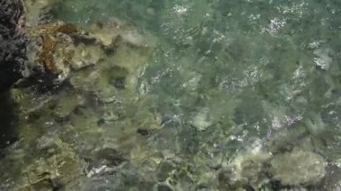 Güzel sahilde deniz dalgaları, berrak su.