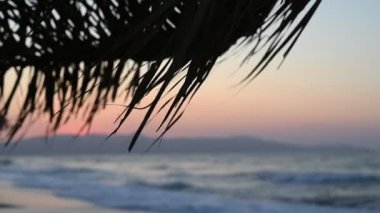 Kurumuş kahverengi Palm Leaves on Beach Şemsiyesi. Tropik Sahilde Kuru Palmiye Yaprakları. 