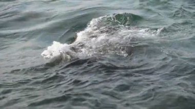 Kayaların arasından akan dalgaların yavaş akışı. Deniz taşını akıntılı suyla kapatın, dalgalar denizde dalgalansın