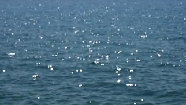 Bokeh Napfény Tükröződik Víz Felszínén Napsugarak Villognak Vízben — Stock videók