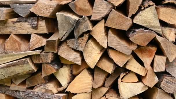 Holzstapel Gehackt Für Das Brennen Ofen Vorbereitung Auf Den Winter — Stockvideo