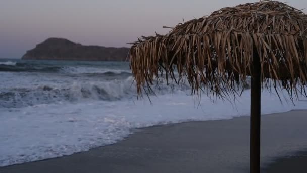 Kurumuş Kahverengi Palm Leaves Beach Şemsiyesi Tropik Sahilde Kuru Palmiye — Stok video