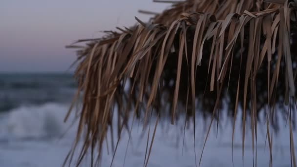 Gedroogde Bruine Palmbladeren Strandparaplu Droge Palmbladeren Tropisch Strand — Stockvideo