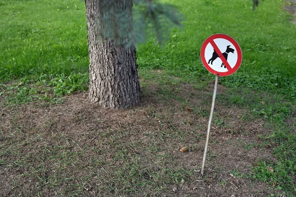 Sign Public Park Warning Dogs Allowed — стоковое фото