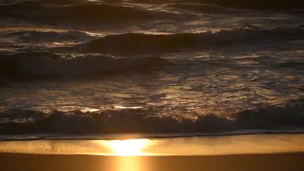 Sea Waves Water Surface Sea Sunset Baltic Sea — Stock Video