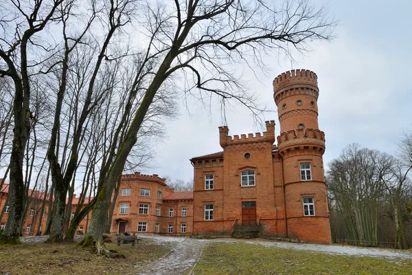 Raudone Castle, Lithuania. — Stock Photo, Image
