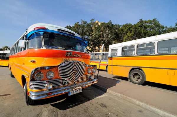 Legendary and iconic Malta public buses — Stock Photo, Image