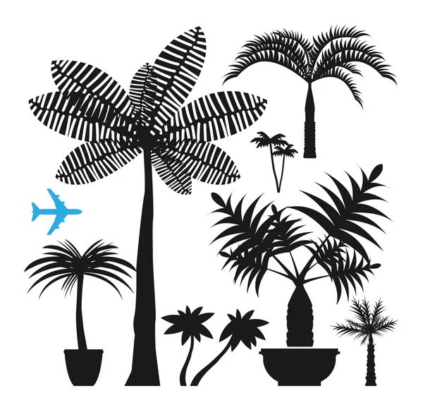 Palm siluetleri — Stok Vektör