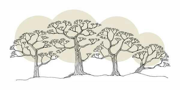 Dibujo a mano del árbol — Vector de stock