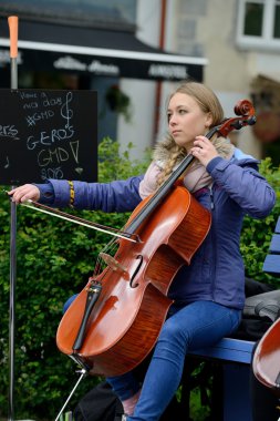müzisyen viyolonsel çalıyor.