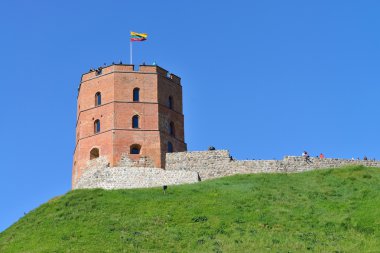 Gedimino kule Vilnius