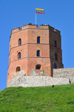 Gedimino kule Vilnius