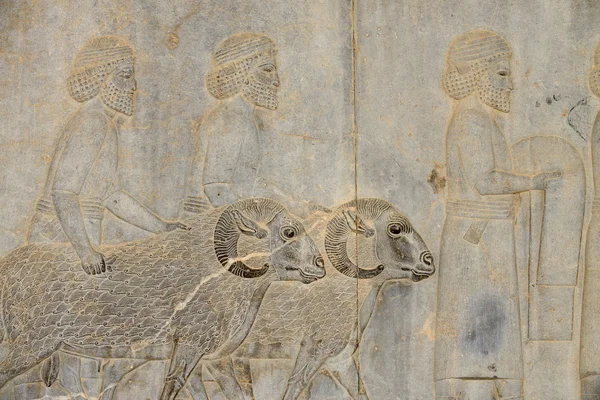 Детали рельефа в Персеполисе в Иране — стоковое фото