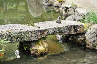 Ginkakuji Gümüş Pavyonu 'ndaki güzel gölet Kyoto' nun doğu dağları boyunca Zen tapınağı Higashiyama