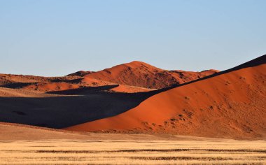 Sossusvlei, Afrika yakınlarındaki Namibya Çölü 'ndeki kum tepeleri.