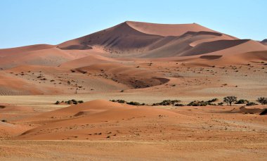 Afrika Sossusvlei yakınlarındaki Namibya Çölü 'nde kum tepesi.