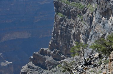 Jebel Shams 'ın panoramik manzarası Ortadoğu Umman' da devasa bir kanyon.