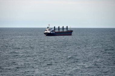 Baltık Denizi 'nde Büyük Toplu Taşıyıcı Gemi