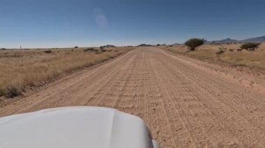 Beyaz bir araba, Namibya çölünde ıssız bir yolda gidiyor. Her yerde boşluk var, hiçbir şey görünmüyor..