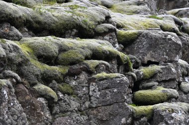 İzlanda 'daki Thingvellir manzarası. Thingvellir tarihi kültürel ve jeolojik bir yerdir ve en popüler turizm merkezlerinden biridir.
