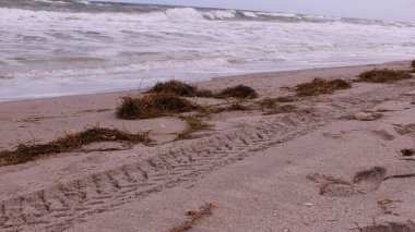 Kasvetli bir günde dalgalı dalgalar - sahilin alçak açılı görüntüsü