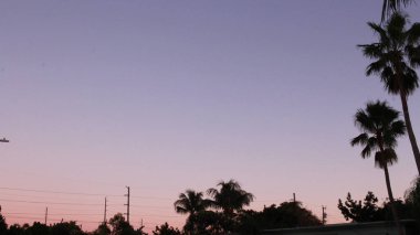 Gün batımında palmiye ağaçları