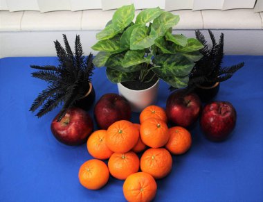 Meyve Fotoğrafçılığı - Mavi arkaplanda portakallar