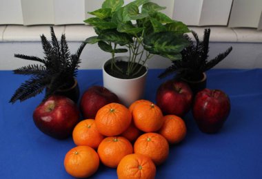 Mavi arka planda meyveli fotoğrafçılık