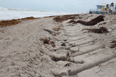 Kumdaki yosunları kapat