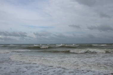 Dalgalar dalgalı sahilde