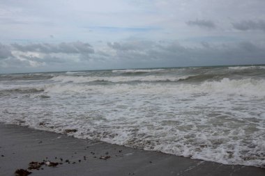 Dalgalar dalgalı sahilde