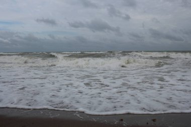 Dalgalar dalgalı sahilde