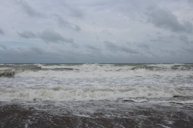 Dalgalar dalgalı sahilde