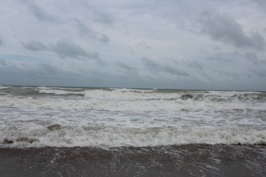 Dalgalar dalgalı sahilde