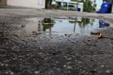 Su birikintisindeki yansıma