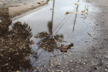 Su birikintisindeki yansıma