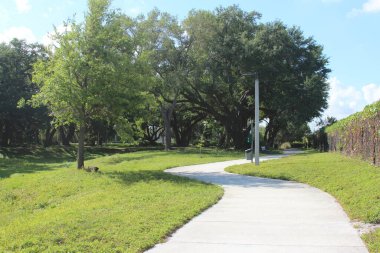 Gündüzleri ağaç fotoğrafçılığı