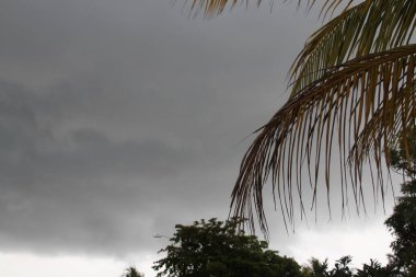 Florida 'da tropik fırtına vuruşu