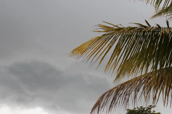 Tormenta Tropical Tiempo Disparó Florida — Foto de Stock