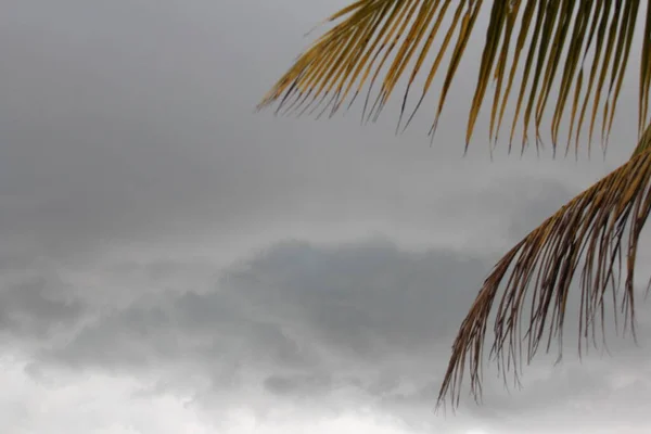 Tropical Storm Weather Shot Florida — Stock Photo, Image