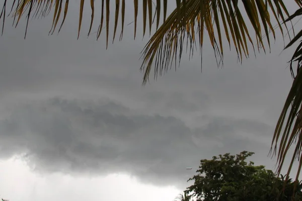 Tempesta Tropicale Meteo Girato Florida Fotografia Stock