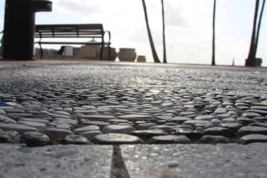 Sahilde alçak açılı yol