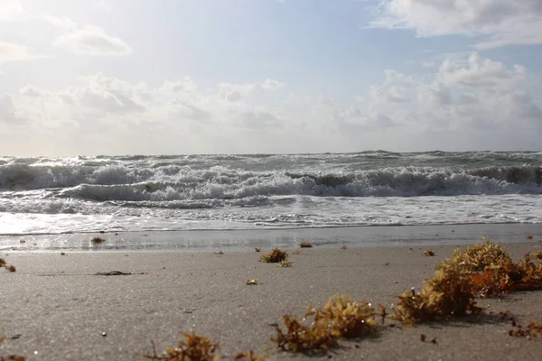 海浪在海岸上冲撞 — 图库照片
